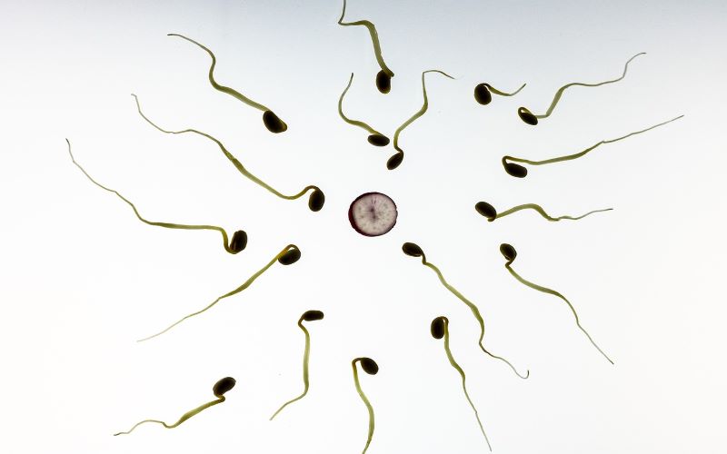 Is horniness an early sign of pregnancy or period