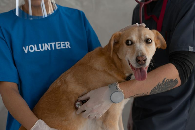 can i cancel pet health club 