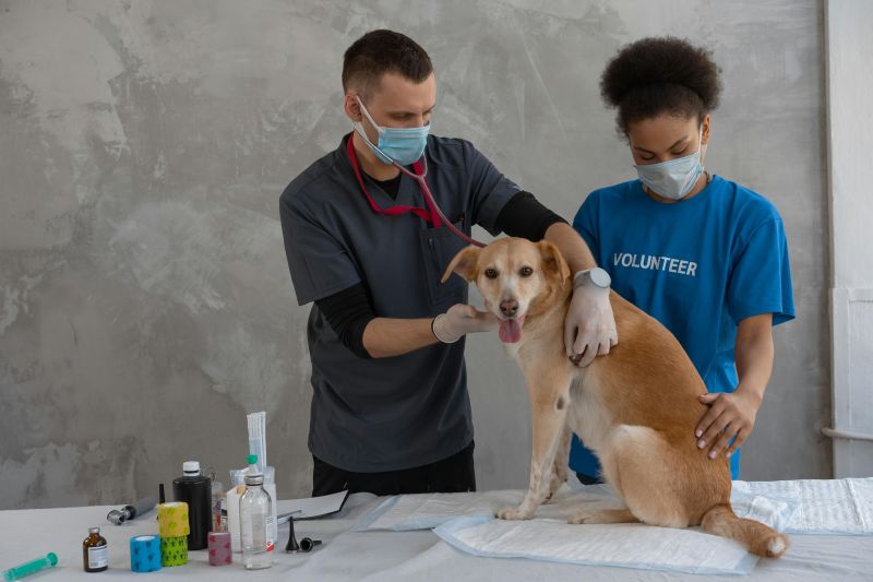 can i cancel pet health club 