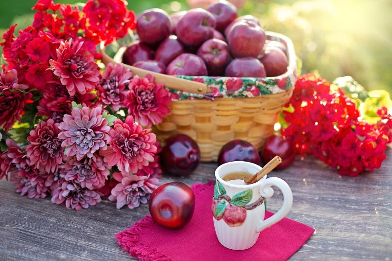 Apple Cider Vinegar Shot