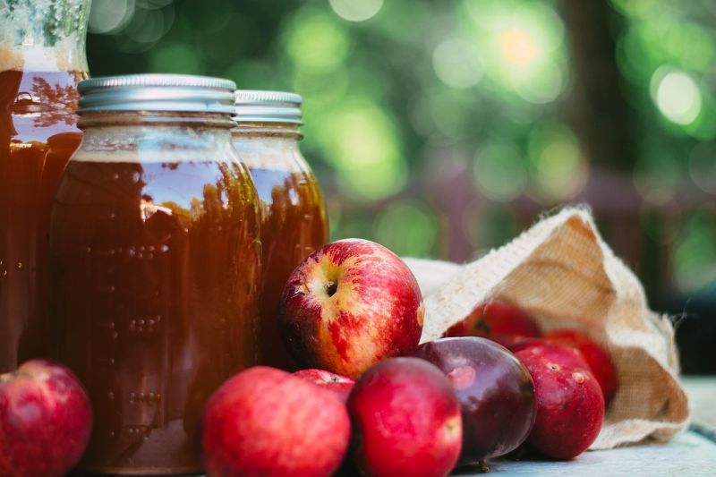 Apple Cider Vinegar Shot
