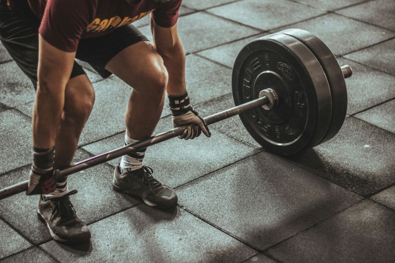 goblet squat muscles worked
