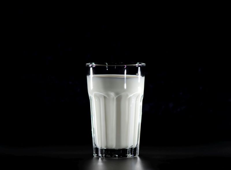 protein chocolate milk 